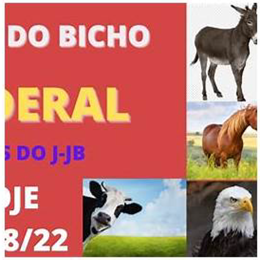 Federal do Bicho
