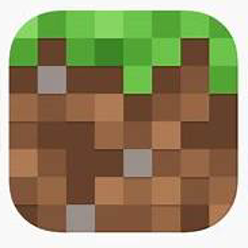 Tipos de Minecraft